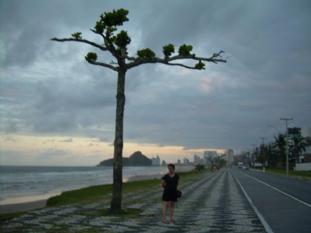 A rvore, a Sonia e a praia de Caiob.