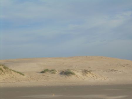 As dunas da praia dos ingleses, em Florianpilis.