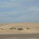 As dunas da praia dos ingleses, em Florianpilis.